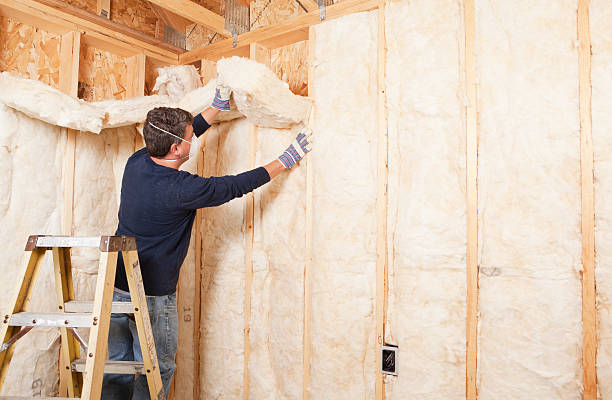 Types of Insulation We Offer in Phoenix Lake, CA